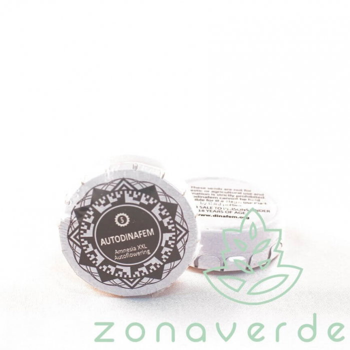 Seminte Cannabis Auto Amnesia XXL Feminized, 5 seminte [1]