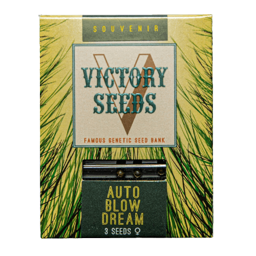 Seminte Cannabis Auto Blow Dream, Feminized [1]