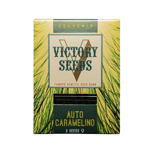 Seminte Cannabis Auto Caramelino Feminized [1]
