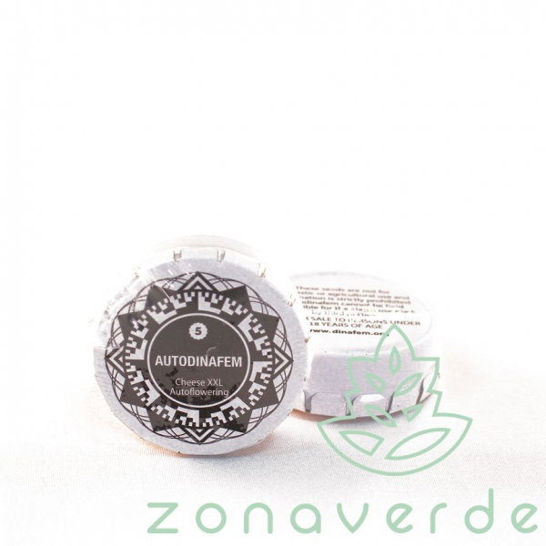 Seminte Cannabis Auto Cheese XXL Feminized, 5 seminte [1]
