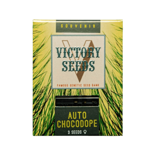 Seminte Cannabis Auto Chocodope Feminized [1]