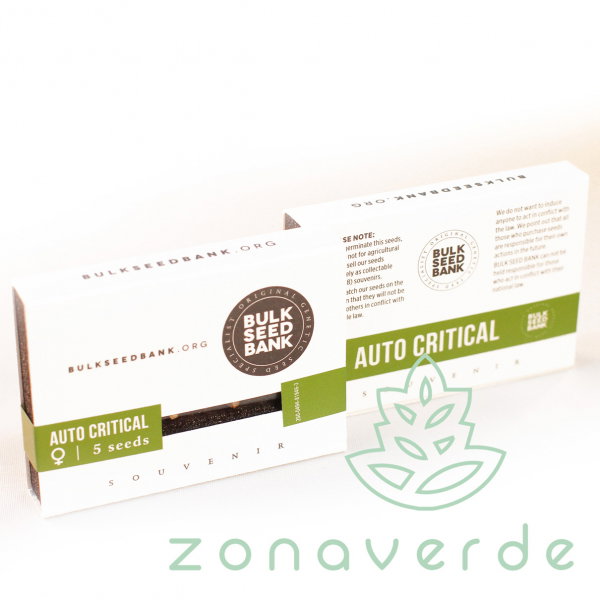 Seminte Cannabis Auto Critical Feminized [1]