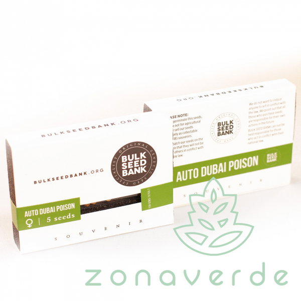 Seminte Cannabis Auto Dubai Poison Feminized [1]