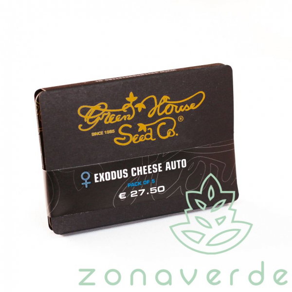 Seminte Cannabis Auto Exodus Cheese Feminized, 5 seminte [1]