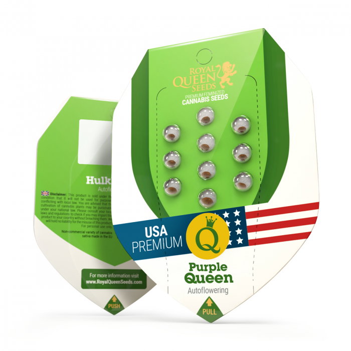 Seminte Cannabis Auto Purple Queen USA Feminized, 5 seminte [1]