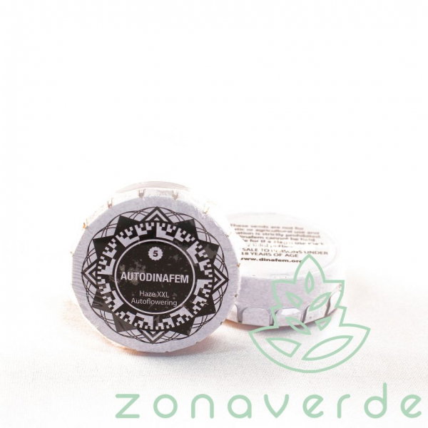 Seminte Cannabis Auto Haze XXL Feminized, 5 seminte [1]