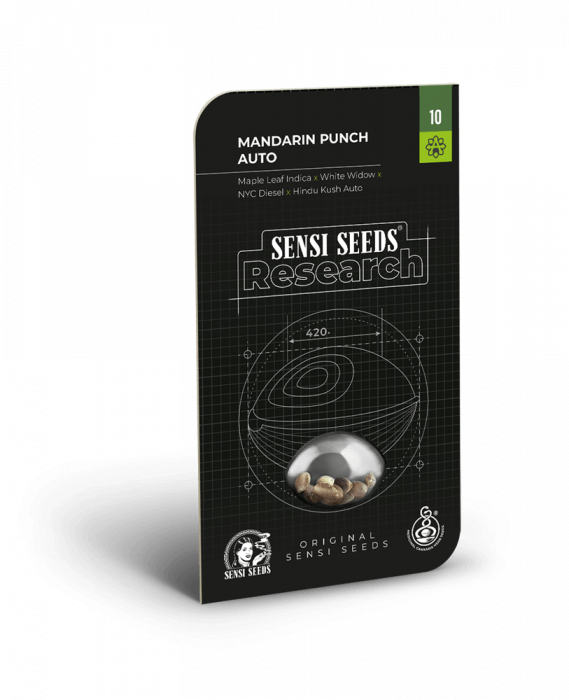 Auto Mandarin Punch Feminized, 5 seminte [1]