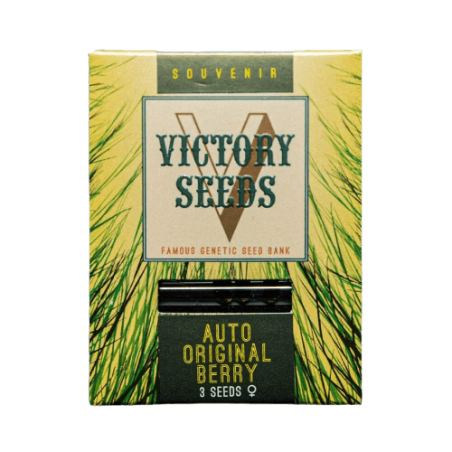 Seminte Cannabis Auto Original Berry Feminized [1]