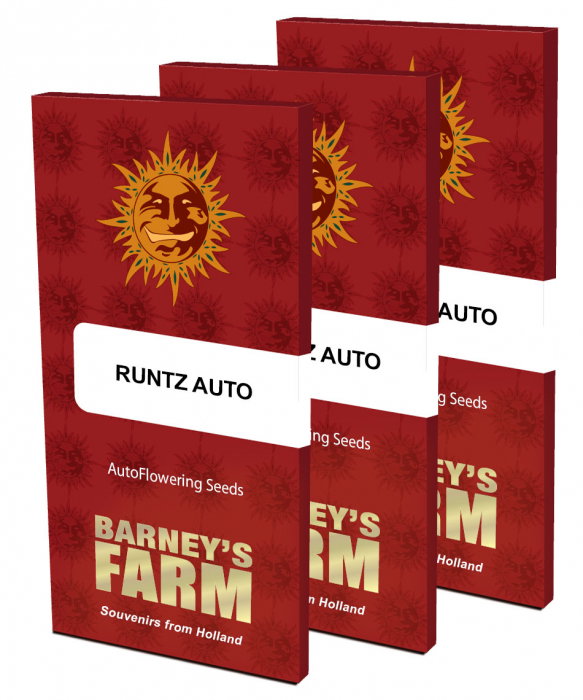 Auto Runtz Feminized, 5 seminte [1]