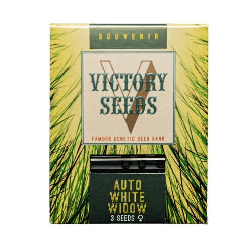 Seminte Cannabis Auto White Widow Feminized [1]
