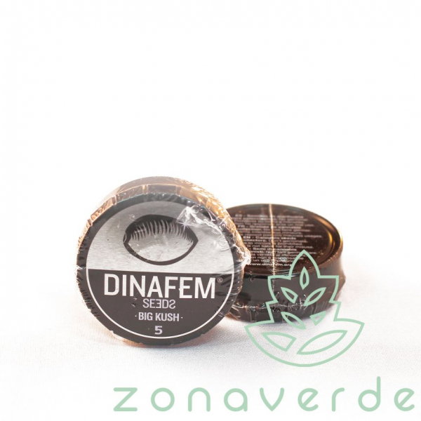 Seminte Canabis Big Kush Feminized, 5 seminte [1]