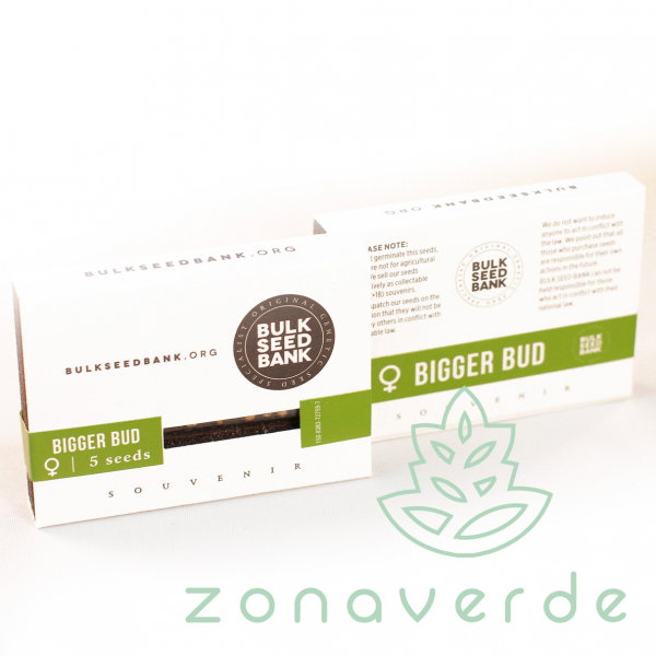 Seminte Canabis Bigger Bud Feminized [1]