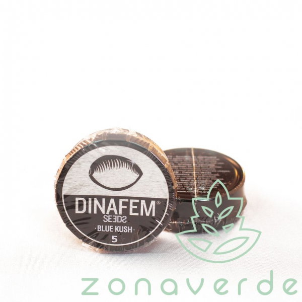 Seminte Canabis Blue Kush Feminized, 5 seminte [1]