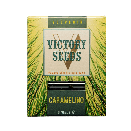 Seminte Canabis Caramelino Feminized [1]