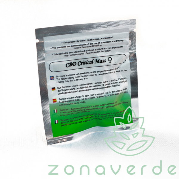 Seminte Canabis CBD Critical Mass Feminized, 5 seminte [1]