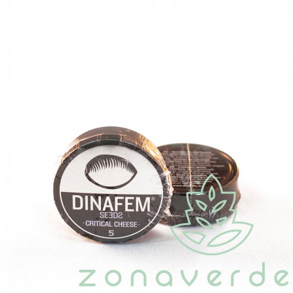 Seminte Canabis Critical Cheese Feminized, 5 seminte [1]