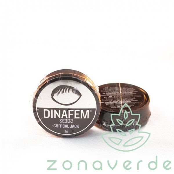 Seminte Canabis Critical Jack Feminized, 5 seminte [1]