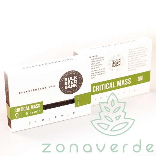 Seminte Canabis Critical Mass Feminized [1]