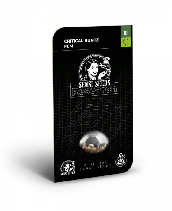 Critical Runtz Feminized, 5 seminte [1]