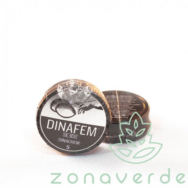 Seminte Canabis Dinachem Feminized, 5 seminte [1]