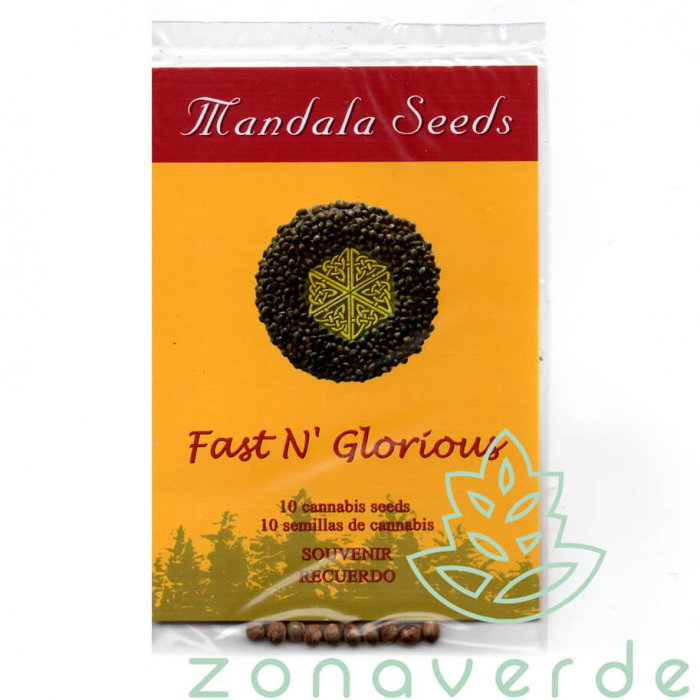 Seminte Canabis Fast N Glorious Regular, 10 seminte [1]