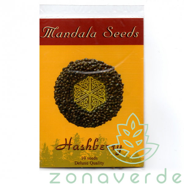 Seminte Canabis Hashberry Regular, 10 seminte [1]