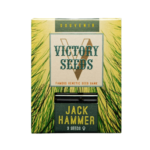 Seminte Canabis Jack Hammer Feminized [1]