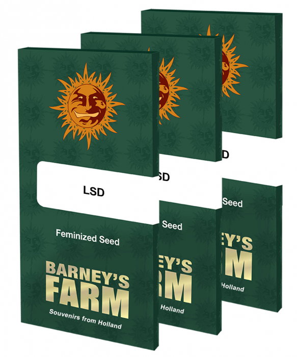 Seminte Canabis LSD Feminized, 5 seminte [1]