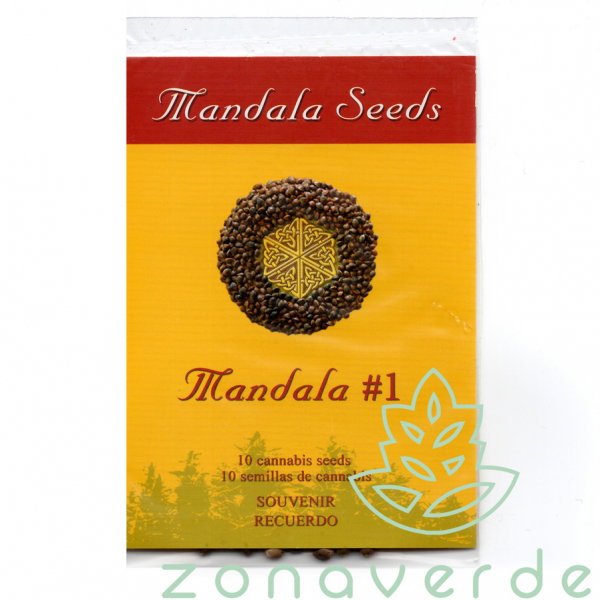 Seminte Canabis Mandala #1 Regular, 10 seminte [1]