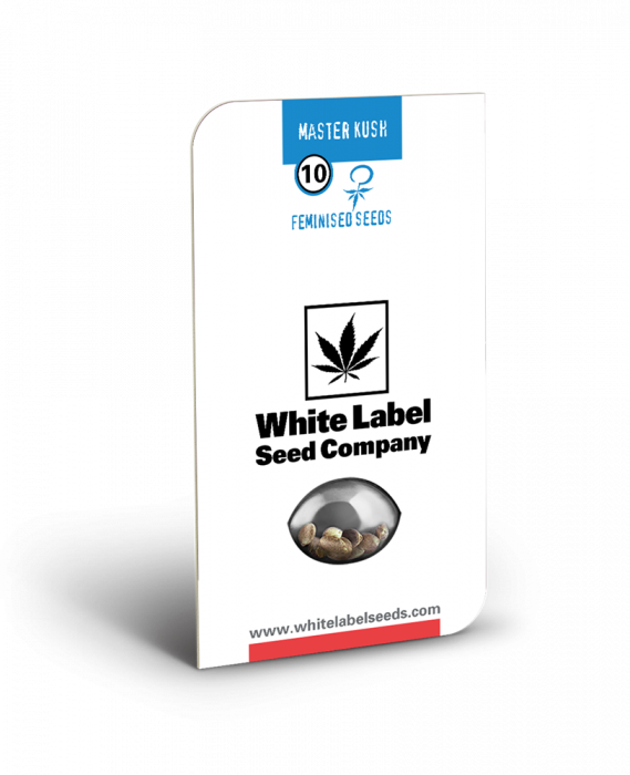 Seminte Canabis Master Kush Feminized, 5 seminte [1]