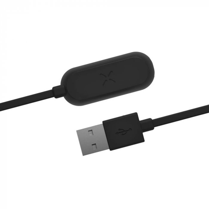 Incarcator Mini USB Pax 2/3 [1]