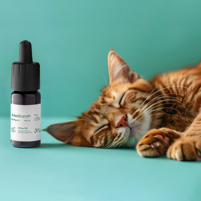 Ulei de Canabis CBD 5%, 500mg, Caini si Pisici, Full Spectrum, Medicanah, Aroma Sunca, 10ml [2]