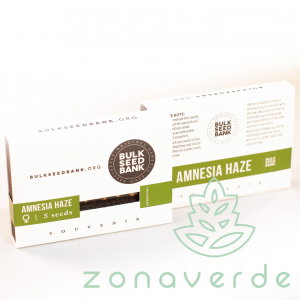 Seminte Cannabis - Seminte Canabis Amnesia Haze Feminized