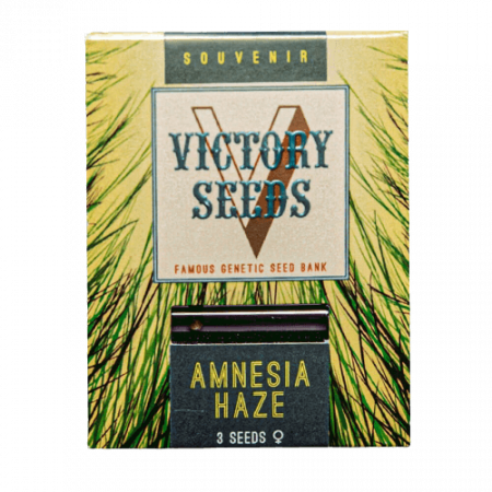 Seminte Feminizate - Seminte Canabis Amnesia Haze Feminized