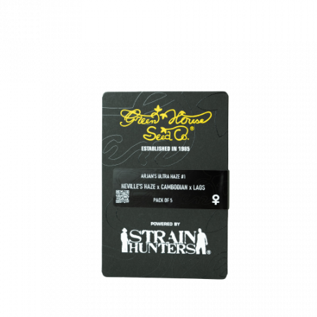 Seminte Feminizate - Seminte Canabis Arjan's Ultra Haze 1 Feminized, 5 seminte