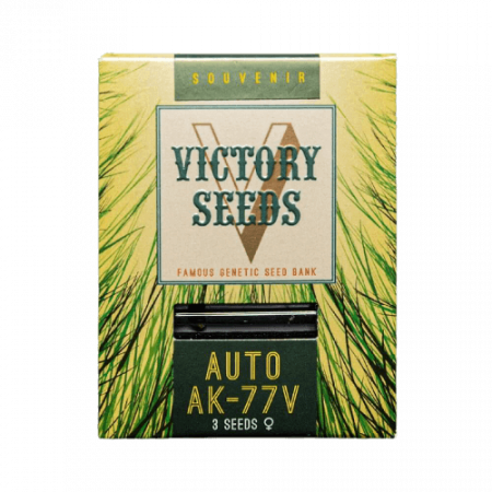 Seminte Autoflower - Seminte Cannabis Auto AK-77V Feminized