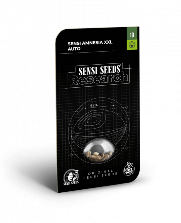 Seminte Autoflower - Auto Amnesia XXL Feminized, 5 seminte