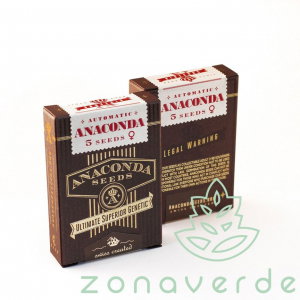 Seminte Autoflower - Seminte Cannabis Auto Anaconda Feminized