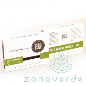 Seminte Autoflower - Seminte Cannabis Auto Banana Monkey Feminized