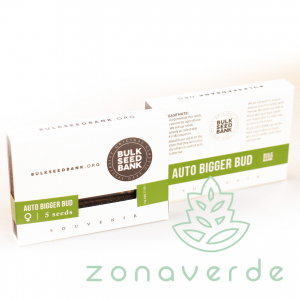 Seminte Autoflower - Seminte Cannabis Auto Bigger Bud Feminized