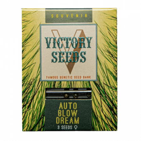 Seminte Autoflower - Seminte Cannabis Auto Blow Dream, Feminized