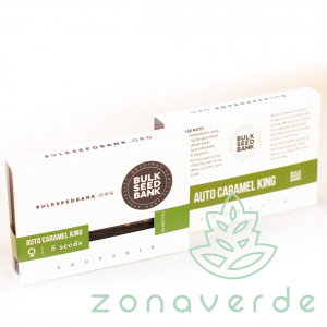 Seminte Cannabis - Seminte Cannabis Auto Caramel King Feminized