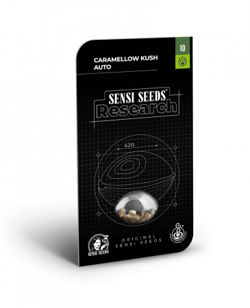 Seminte Cannabis - Auto Caramellow Kush Feminized, 5 seminte