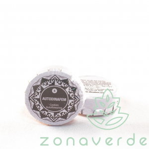 Seminte Cannabis - Seminte Cannabis Auto Cookies Feminized, 5 seminte