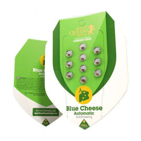 Seminte Autoflower - Seminte Cannabis Auto Blue Cheese Feminized, 5 seminte