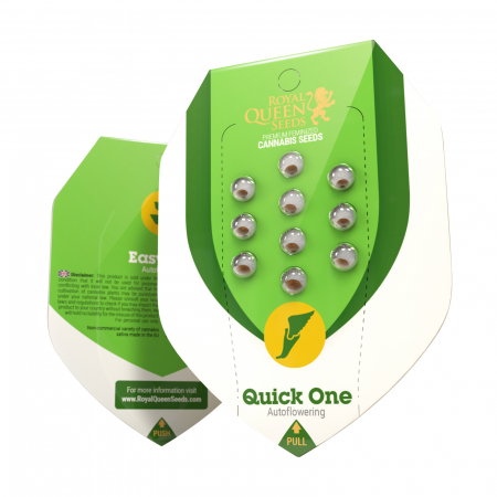 Seminte Cannabis - Seminte Cannabis Auto Quick One Feminized, 5 seminte