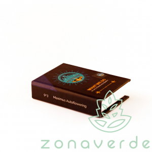 Seminte Cannabis - Seminte Cannabis Auto Maximus Feminized