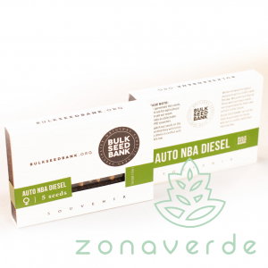 Seminte Cannabis - Seminte Cannabis Auto NBA Diesel Feminized