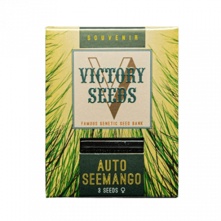 Seminte Cannabis - Seminte Cannabis Auto Seemango Feminized