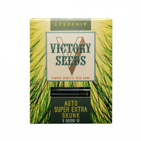 Seminte Cannabis - Seminte Cannabis Auto Super Extra Skunk Feminized